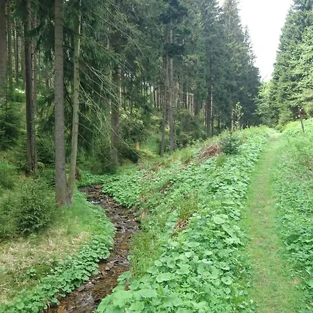 Dachspitze Mit Tiefgaragenstellplatz Und Skiraum *