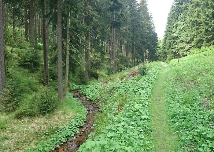 Dachspitze Mit Tiefgaragenstellplatz Und Skiraum *